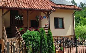 Wynajem pokoi WIKI